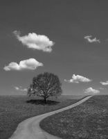 Ein Pilgertag zum Sommeranfang