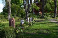 Friedhof Suesel 8