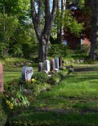 Friedhof Suesel 8