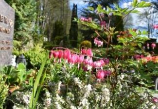 Bestattungsformen und Grabstättenarten auf dem Friedhof Süsel Ruhegemeinschaft