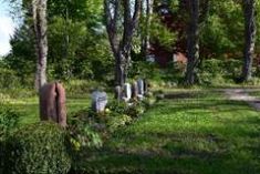 Das Staudenband – ein pflegefreies Wahlgrab image005